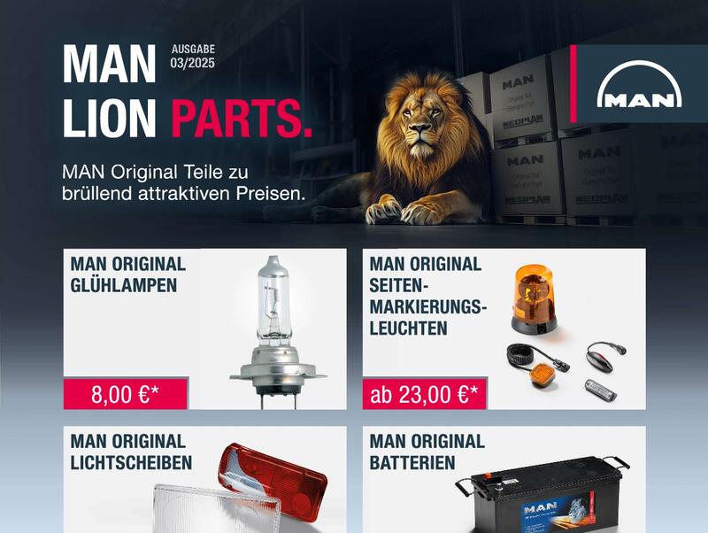 MAN LION Parts.