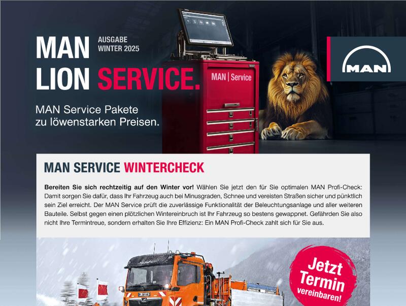 MAN LION SERVICE.